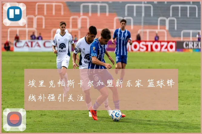 埃里克帕斯卡尔加盟新东家 篮球锋线补强引关注