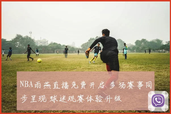 NBA雨燕直播免费开启 多场赛事同步呈现 球迷观赛体验升级