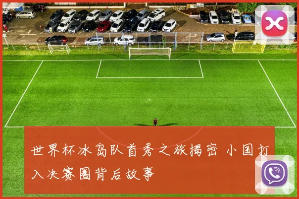世界杯冰岛队首秀之旅揭密 小国打入决赛圈背后故事