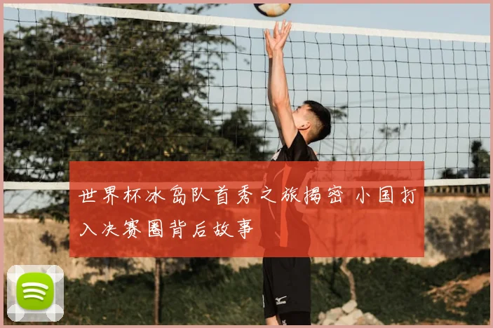 世界杯冰岛队首秀之旅揭密 小国打入决赛圈背后故事