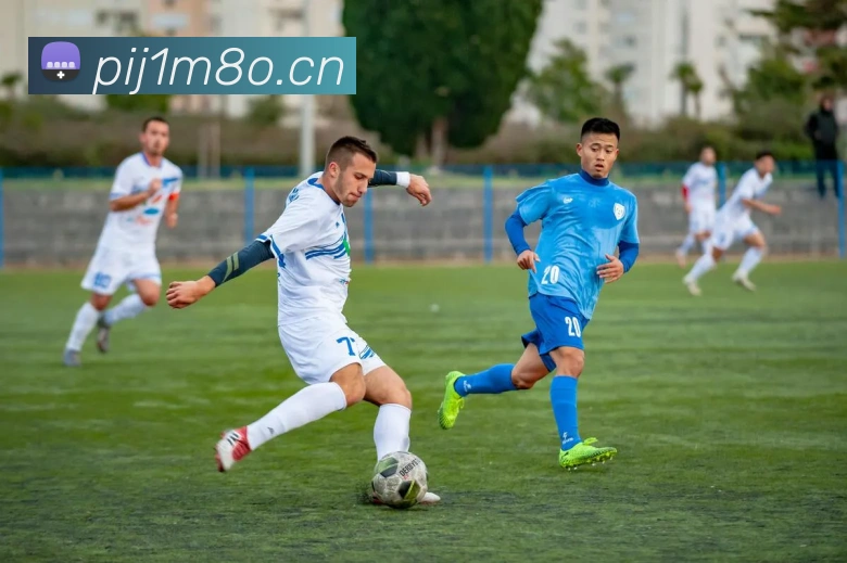 辅助工具 辅助工具